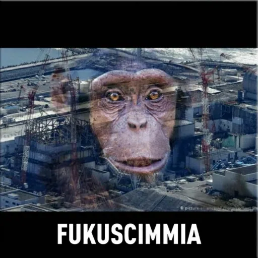 Scimmia- Sticker