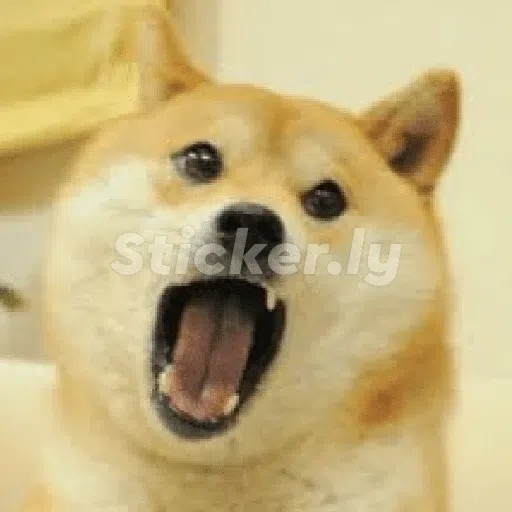 doge - Sticker