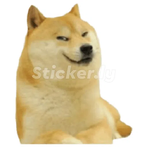 doge - Sticker 5