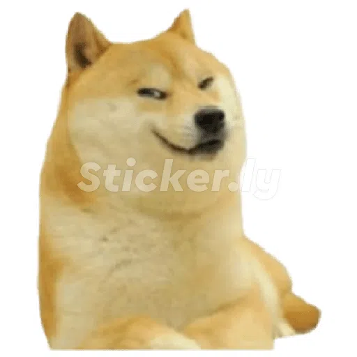 doge - Sticker