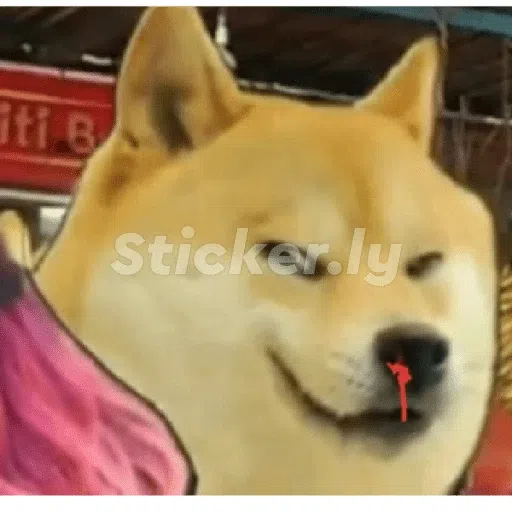 doge- Sticker
