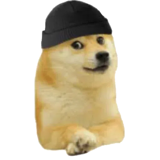 doge 2 - Sticker 7