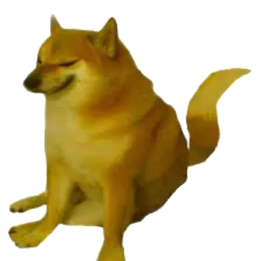 doge 2 - Sticker 3