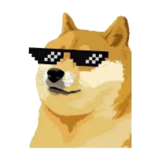 doge 2 - Sticker