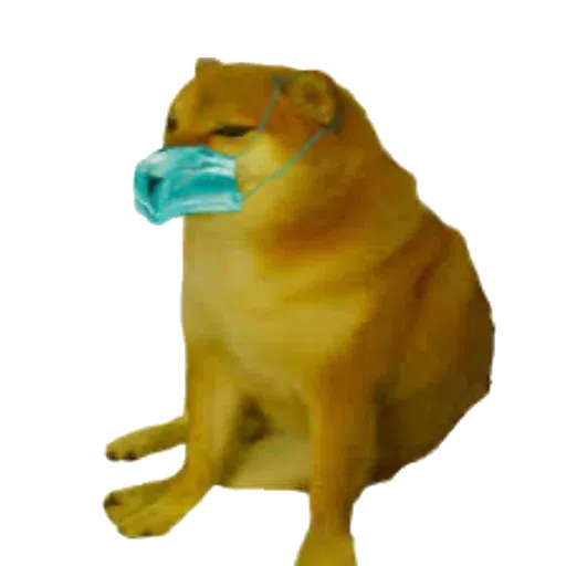 doge 2 - Sticker