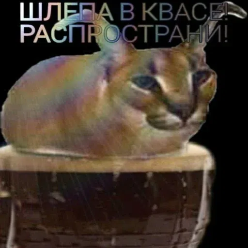 шлёпанцы - Sticker 8